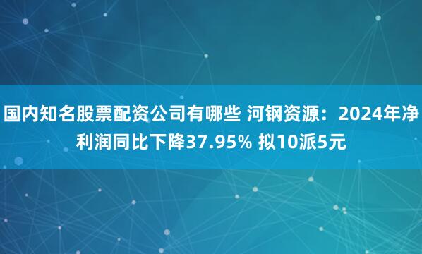 国内知名股票配资公司有哪些 河钢资源：2024年净利润同比下降37.95% 拟10派5元